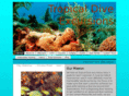 tropicaldiveexcursions.com