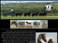 circlejranches.com