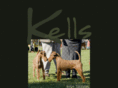kells-irish.com