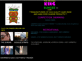 kingbungee.com