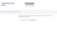 teamwisetools.com