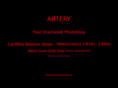 arterynet.net