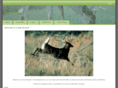 campweasel.com