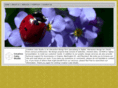 creativecubestudio.com