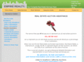 empireauctionteam.com