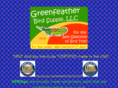 greenfeatherbirdtoys.com