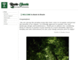 roots-to-shoots.com