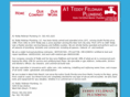a1teddyfeldmanplumbing.com