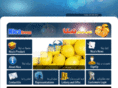 nicagroup.com