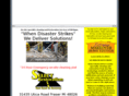 onsitespecialtycleaning.com