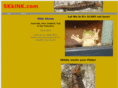 skkink.com