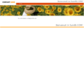sun4b.com
