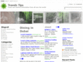 travelstips.com