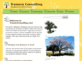 tremuraconsulting.com