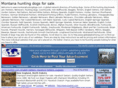 montanahuntingdogs.com
