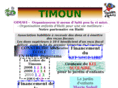 timounhaiti.org