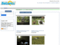 balzanes.net