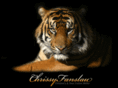 chrissyfanslau.com