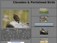 clevedon-portisheadbirds.com