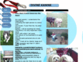 divinekanine.org