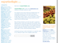 enjoytheflight.com