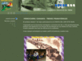 ferrocarrilcanario.com