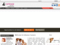 intensecareers.net