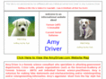 amydriver.com