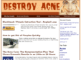 destroyacne.info
