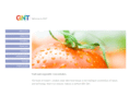 gnt-deutschland.com