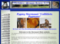 marmosetdiets.com