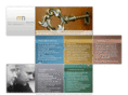 mn-seminare.com