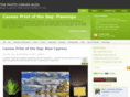 photocanvasblog.com