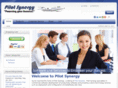 pilotsynergy.com