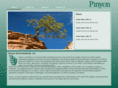 pinyon-env.com