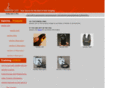 translitellc.com