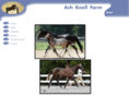 ashknollfarm.com