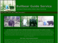 bullbearguideservice.com