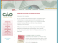 caoconsulting.com