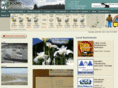 elevationjunction.com