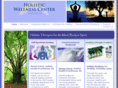 holisticwellnessencinitas.com