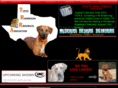 texasrra.com