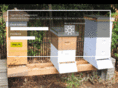 imabeekeeper.com