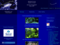 seaitinyourlife.com