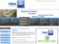 trueerp.asia