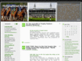 dailyracingworld.com