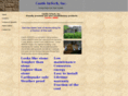 stone321.com