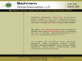 bachmannglobal.com