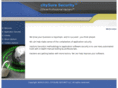 citysuresecurity.com