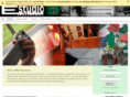 estudiocultural.com